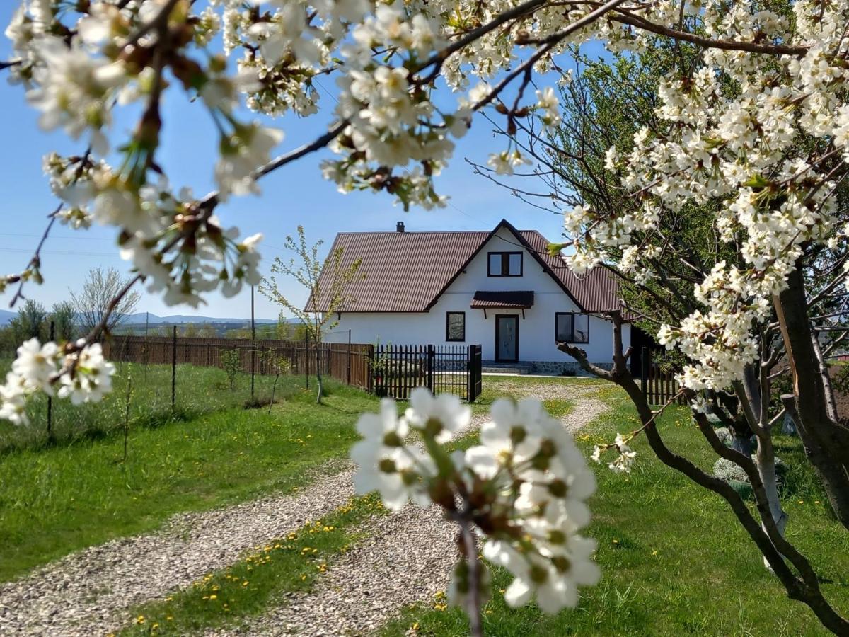 Casuta Din Deal Targu Neamt Exterior foto